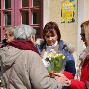 Šibenik: Prodaja narcisa za akciju dana protiv raka dojke