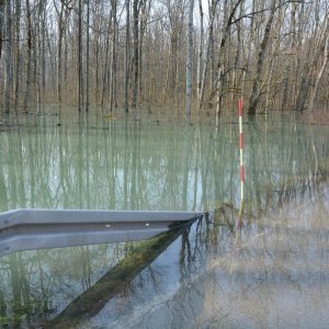 Zatvorena cesta Sisak-Popovača