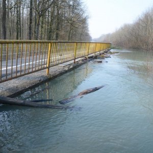 Zatvorena cesta Sisak-Popovača