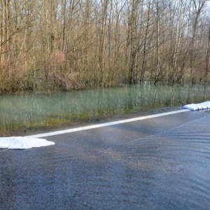 Zatvorena cesta Sisak-Popovača