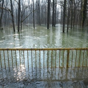 Zatvorena cesta Sisak-Popovača