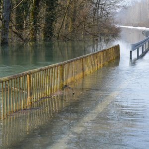 Zatvorena cesta Sisak-Popovača