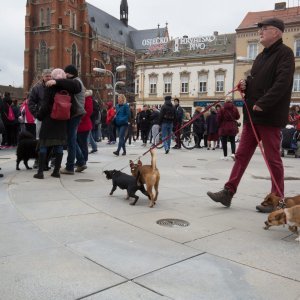 Prosvjed protiv trovanja životinja u Osijeku