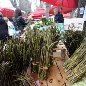 Prodaja šparoga na tržnici u Puli