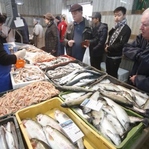 Ponuda ribe na tržnici u Zagrebu