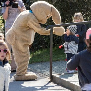 Osijek: Brojne obitelji na Uskrsni ponedjeljak posjetile Zoološki vrt