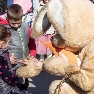 Osijek: Brojne obitelji na Uskrsni ponedjeljak posjetile Zoološki vrt