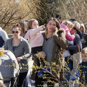 Osijek: Brojne obitelji na Uskrsni ponedjeljak posjetile Zoološki vrt