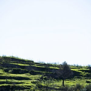 Žrnovnica se oporavila nakon velikog požara