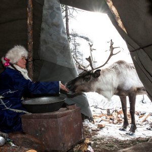 Jahači i goniči sobova