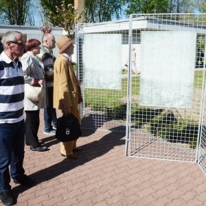 Komemoracija u Jasenovcu