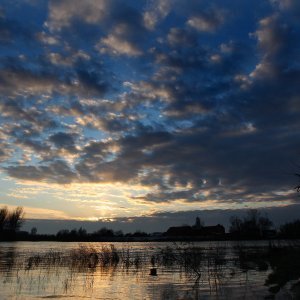 Lonjsko polje