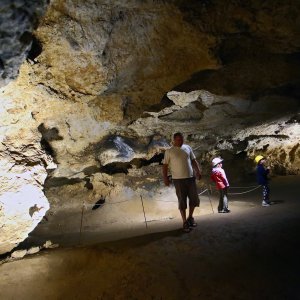 Medvednica (špilja Veternica)