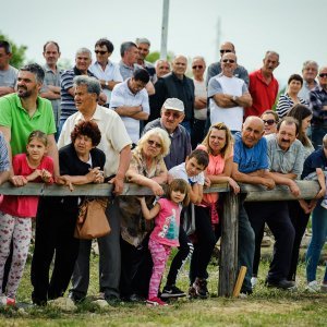 Na hipodromu u mjestu Oklaj održane 64. Prominske igre