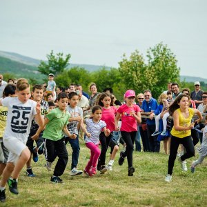 Na hipodromu u mjestu Oklaj održane 64. Prominske igre