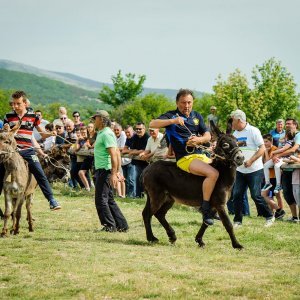 Na hipodromu u mjestu Oklaj održane 64. Prominske igre