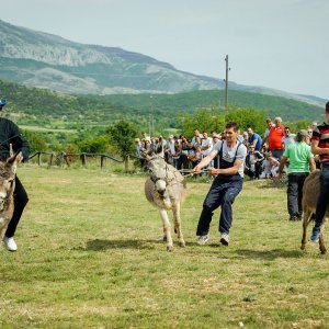 Na hipodromu u mjestu Oklaj održane 64. Prominske igre