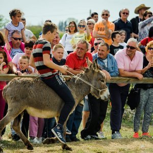 Na hipodromu u mjestu Oklaj održane 64. Prominske igre