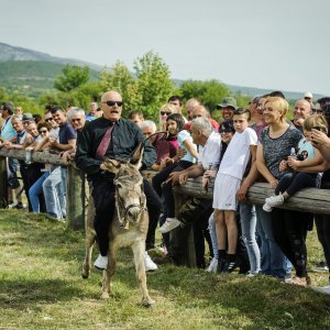 Na hipodromu u mjestu Oklaj održane 64. Prominske igre