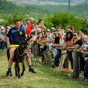 Na hipodromu u mjestu Oklaj održane 64. Prominske igre