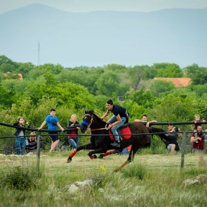 Na hipodromu u mjestu Oklaj održane 64. Prominske igre