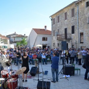 Okupljanje ljubitelja usne harmonike