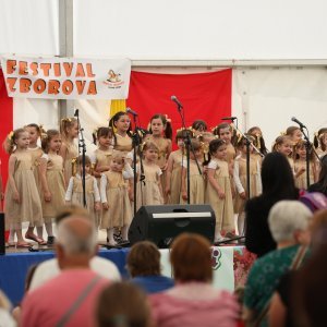 Festival igračaka u Ivanić Gradu