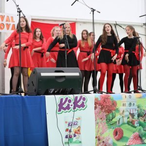 Festival igračaka u Ivanić Gradu