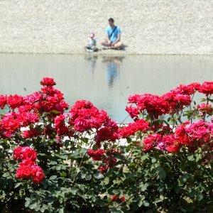 53. Međunarodna vrtna izložba Floraart