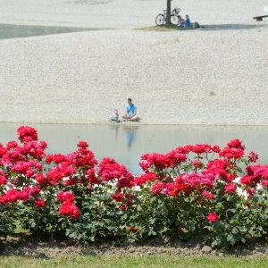 53. Međunarodna vrtna izložba Floraart