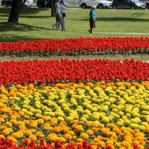 53. Međunarodna vrtna izložba Floraart