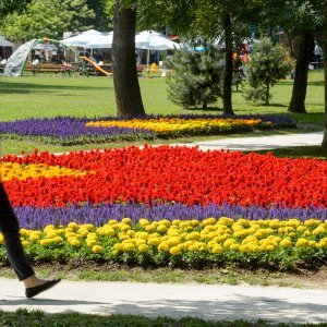 53. Međunarodna vrtna izložba Floraart