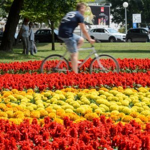 53. Međunarodna vrtna izložba Floraart