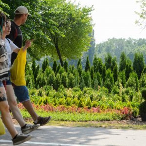 53. Međunarodna vrtna izložba Floraart