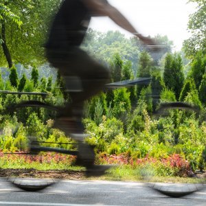 53. Međunarodna vrtna izložba Floraart