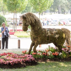 53. Međunarodna vrtna izložba Floraart