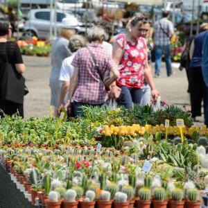 53. Međunarodna vrtna izložba Floraart