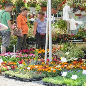 53. Međunarodna vrtna izložba Floraart