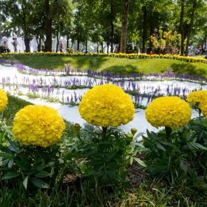 53. Međunarodna vrtna izložba Floraart