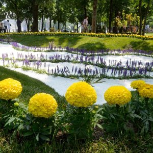 53. Međunarodna vrtna izložba Floraart