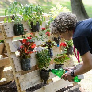 53. Međunarodna vrtna izložba Floraart