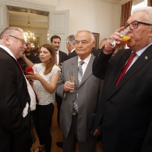 Vladimir Šeks, Vice Vukojević i Luka Bebić