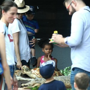 Zoološki vrt u centru Zagreba proslavio svoj veliki 93. rođendan