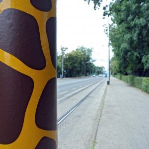 Zoološki vrt u centru Zagreba proslavio svoj veliki 93. rođendan