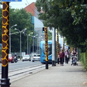 Zoološki vrt u centru Zagreba proslavio svoj veliki 93. rođendan