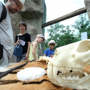 Zoološki vrt u centru Zagreba proslavio svoj veliki 93. rođendan