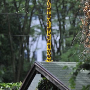 Zagrebački ZOO proslavio 93. rođendan