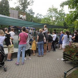Zagrebački ZOO proslavio 93. rođendan