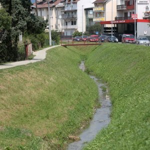 Mutnim potokom Kustošak plutaju uginule ribe