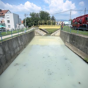 Mutnim potokom Kustošak plutaju uginule ribe